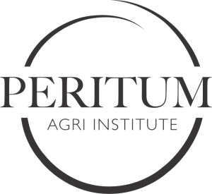 Peritum