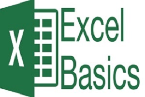 E/LMS 714 Excel Basic