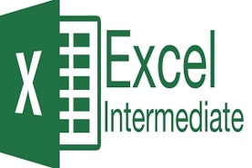 E/LMS 715 Excel Intermediate