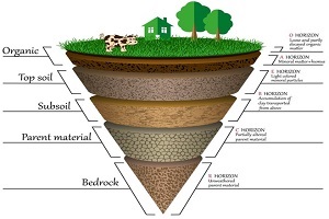 E/LMS 205 Soil Science