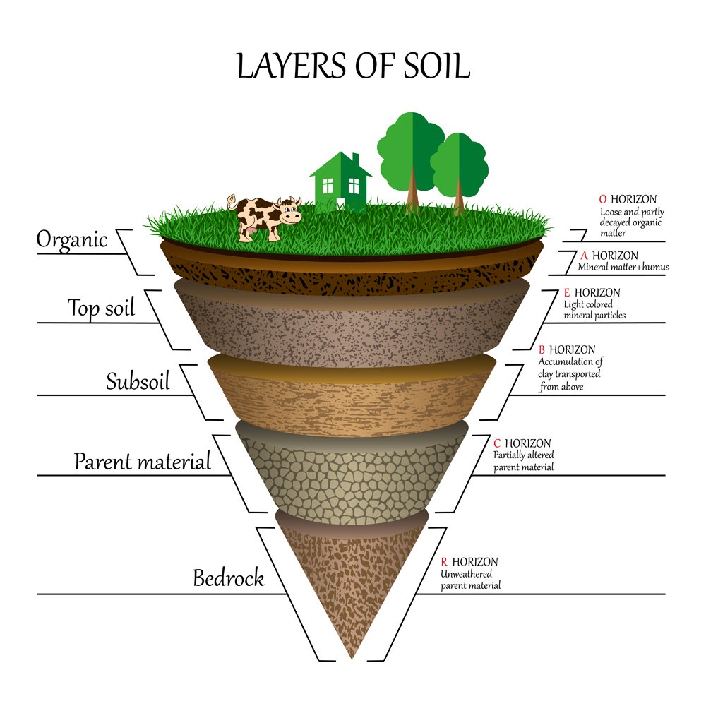 E LMS 205 Soil Layering Or Stratification