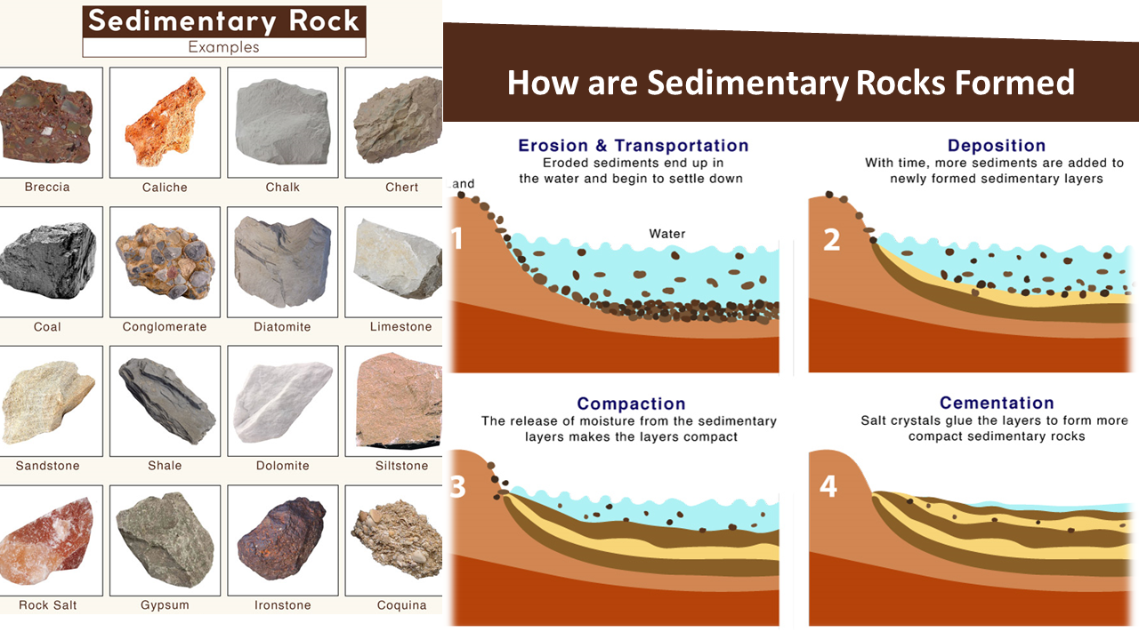 sedimentary rocks examples