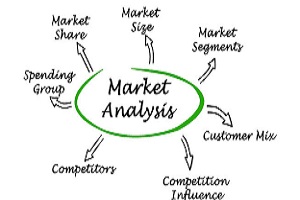 E/LMS 32500 Market Analysis and Plan