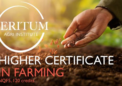 Higher-certificate-in-farming